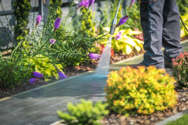 Best Gutter Cleaning  in Plainedge, NY